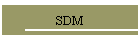 SDM