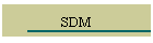 SDM
